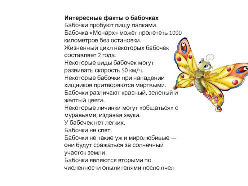 Интересные факты о бабочках для детей. бабочка-лимонница: интересные факты