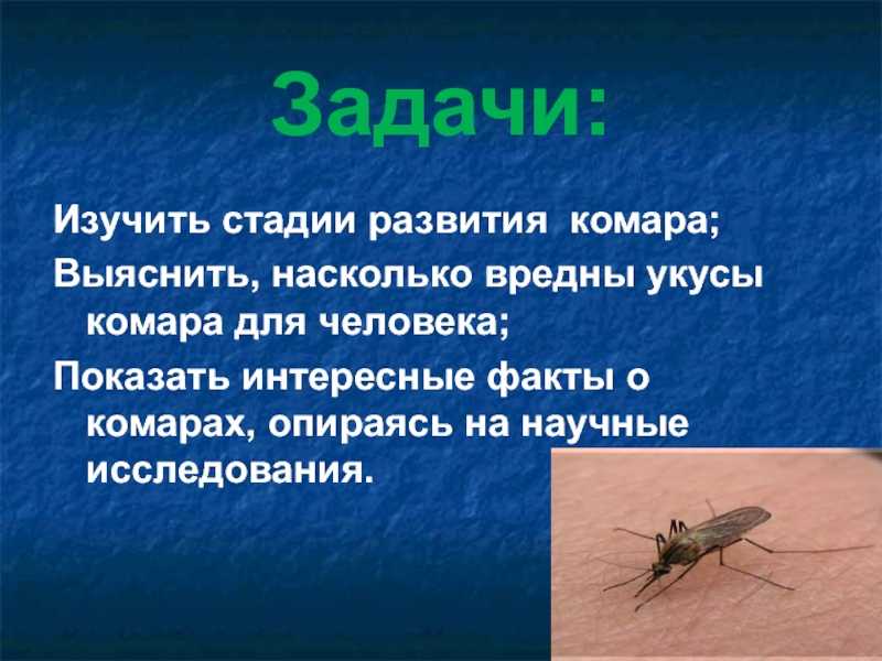 В какой стране нет комаров? почему у них нет комаров? где в россии нет комаров
