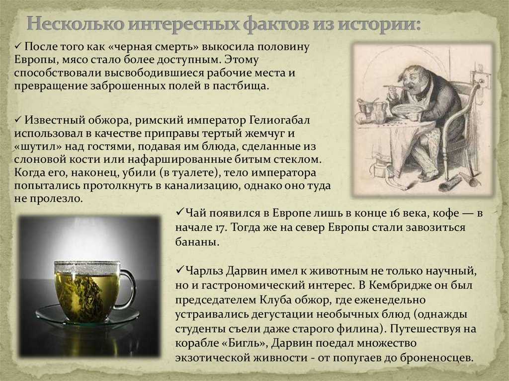 Интересные факты из жизни льва николаевича толстого. | интересные факты