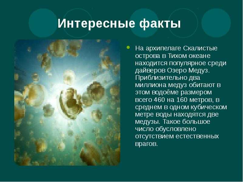 Моря тихого океана: список и интересные факты