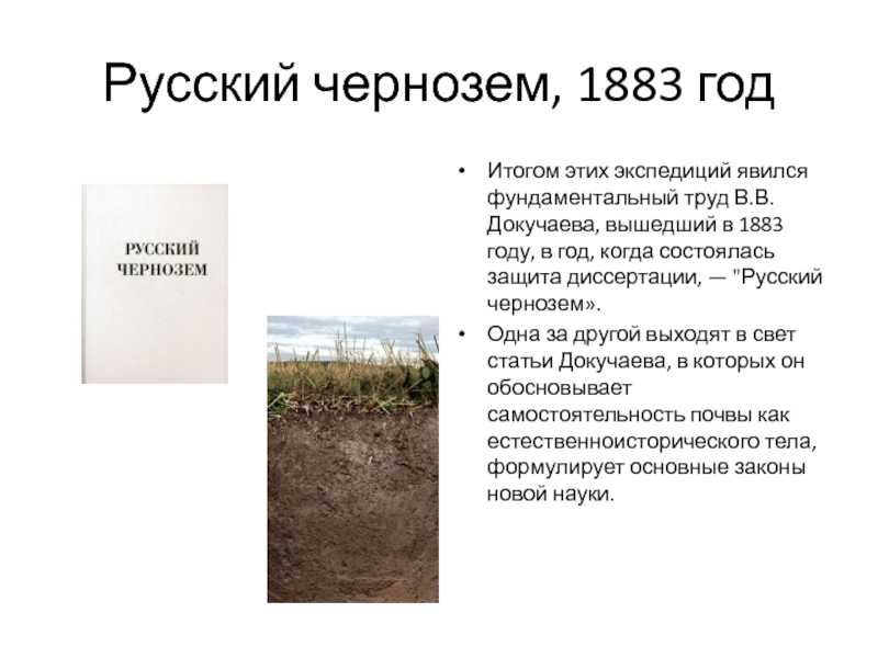 Василий докучаев: биография, творчество, карьера, личная жизнь