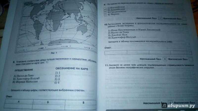 Доклад на тему жизнь леса 2, 4 класс окружающий мир сообщение (описание для детей)