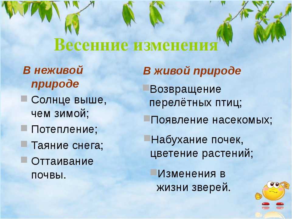 Явления жив. Весенние явления в неживой природе. Явления неживой природы явления живой природы. Весенние явления в живой природе. Явления живой природы весной.