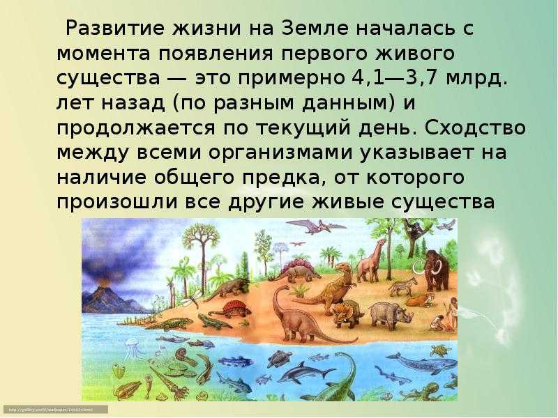 Процессы развития жизни