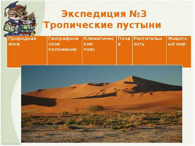 Пустыни в россии и их особенности