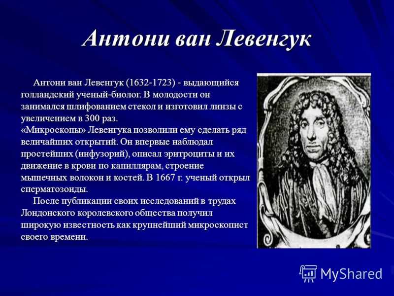 Ливенгук. Антони Ван Левенгук. Антони Ван Левенгук (1632–1723 гг.). Антони Ван Левенгук краткая биография. Антони Ван Левенгук в биологии.