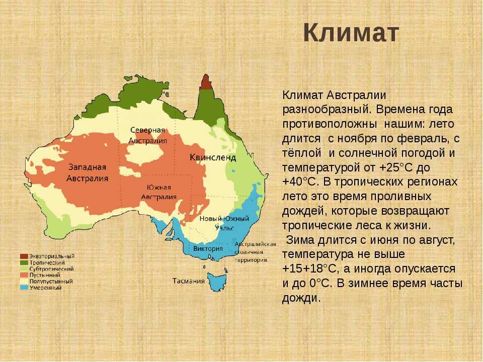 Австралия занимает первое место в мире. Характеристика материка Австралия. Австралия самый маленький материк. План характеристики материка Австралия. На что похож материк Австралия.