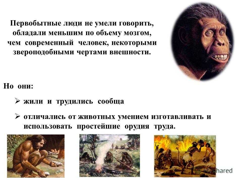 История человечества с самого начала (окружающий мир, 4 класс)