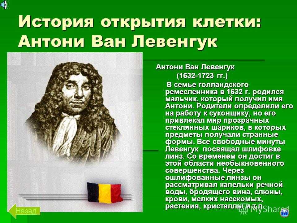 Открытие ван левенгука. Антони Ван Левенгук вклад. Что открыл Антони Ван Левенгук клетка. Антони Ван Левенгук открыл.