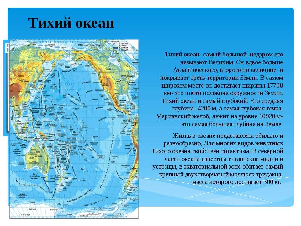 19 правдивых фактов об океане, которых не найти в школьных учебниках (спойлер: там очень много вирусов)