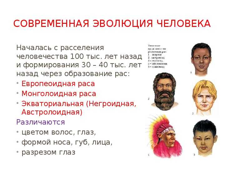 Современный этап развития человечества человеческие расы опасность расизма проект по биологии