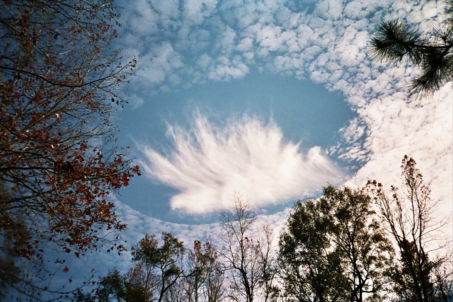 Обычное невероятное. Эффект Fallstreak в перисто- кучевых облаках. Необычные облака. Странные явления природы. Аномальные явления в природе.