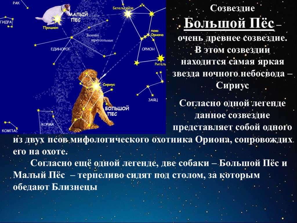 Сириус – звезда в созвездии большого пса. эра возрождения (продолжение) - международный институт регрессологии