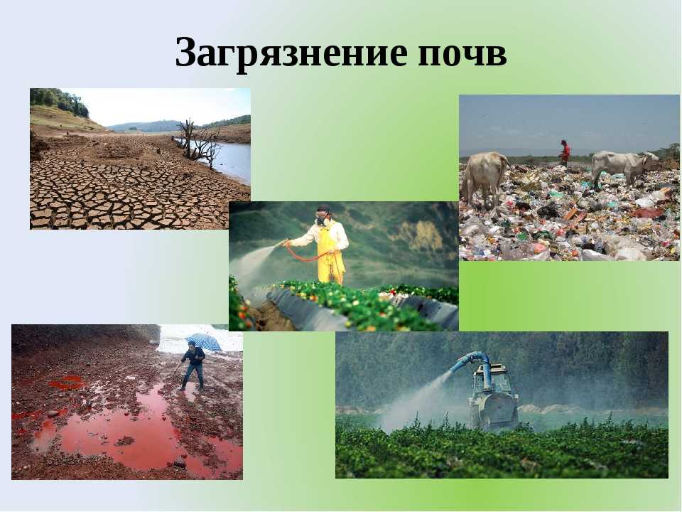 Загрязнение почвы картинки для детей