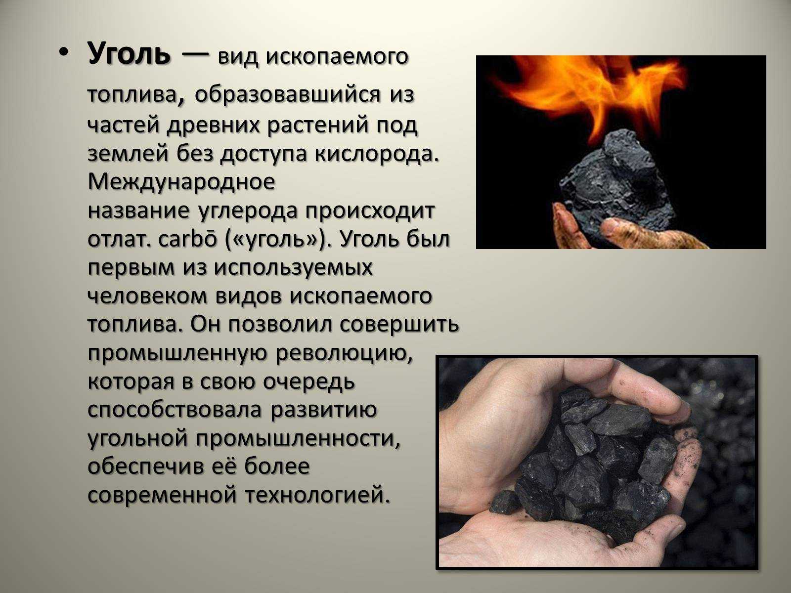 Горючие полезные ископаемые каменный уголь