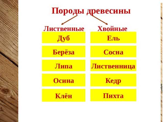 Минералы и горные породы — в чем отличие?