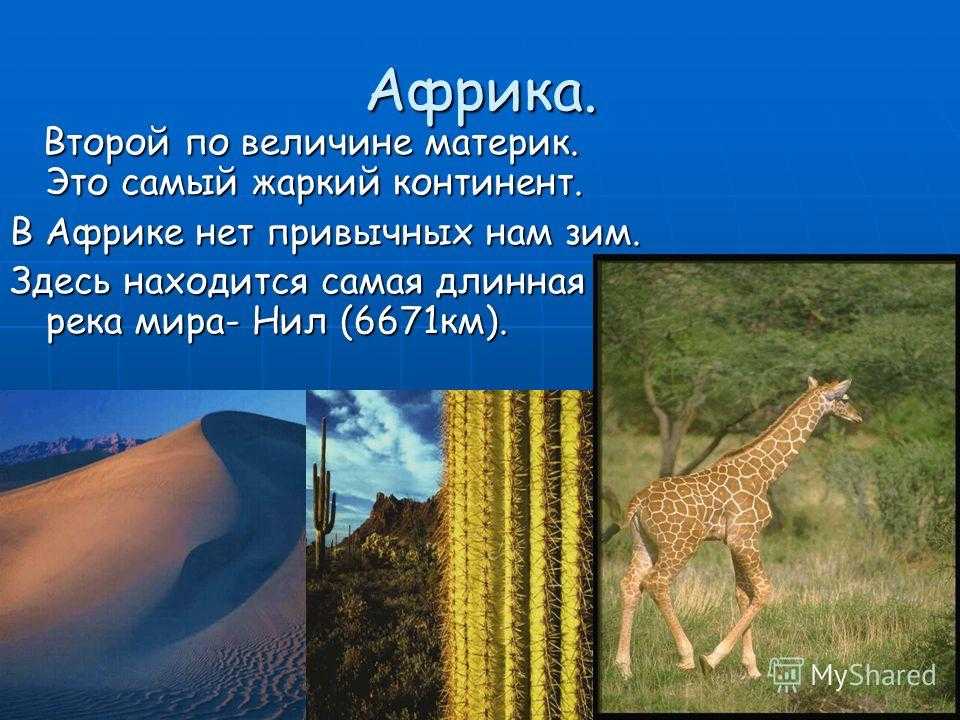 Тунис: интересные факты и особенности страны | интересный сайт