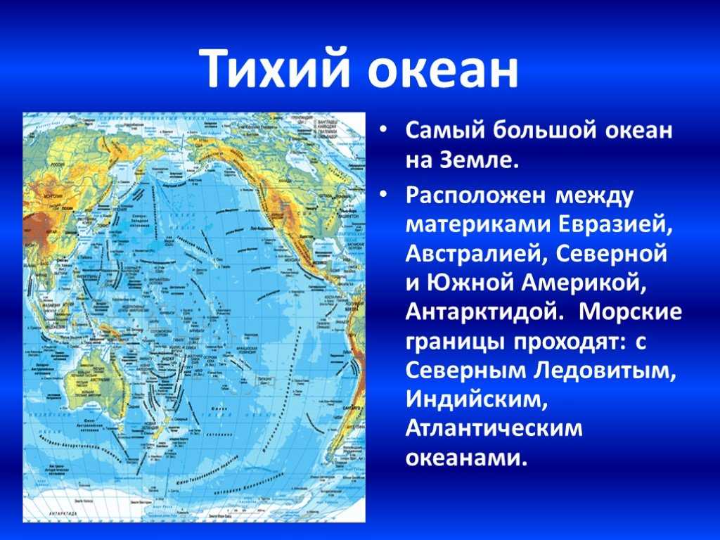 Желтое море: где находится, описание водоема, флора и фауна :: syl.ru
