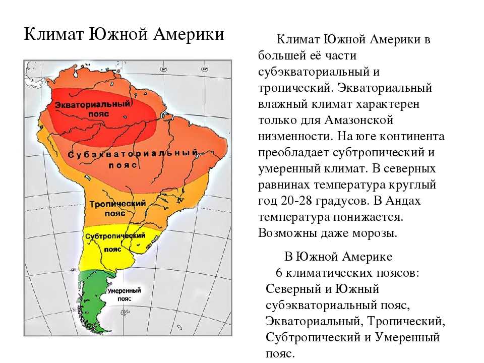 Карта растительности южной америки