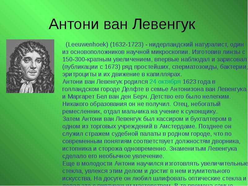 Антони ван левенгук биография. 1673 Антони Ван Левенгук. Биография Левенгука 5 класс.