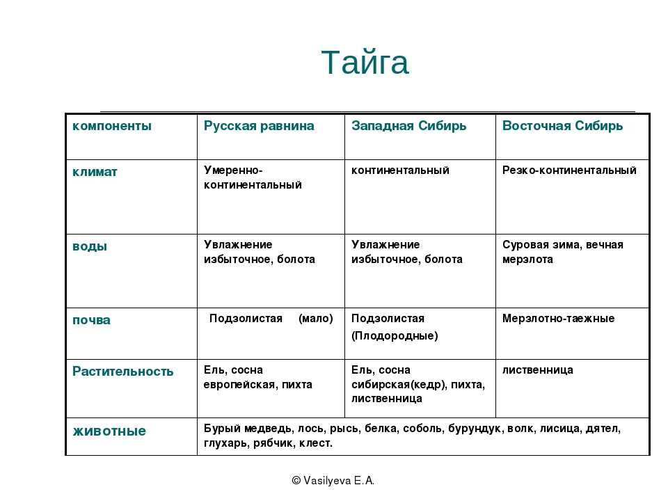 Леса россии стр. 95 - 102. окружающий мир 4 класс 1 часть