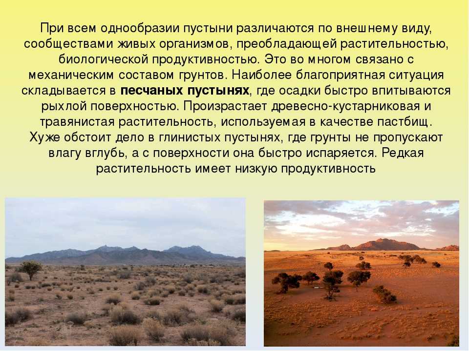 Пустыни в россии и их особенности - zefirka