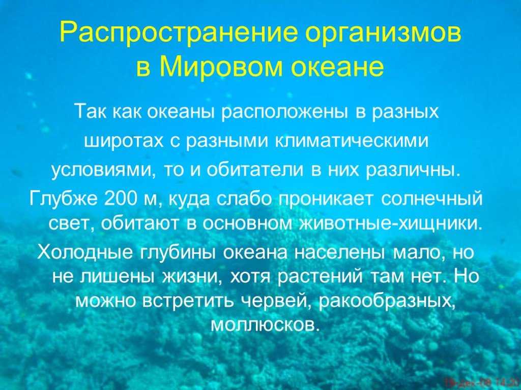 Воды океана 5 класс