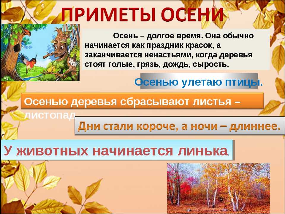 Презентация природа осенью. Приметы осени для дошкольников. Приметы поздней осени для дошкольников. Занятие для детей приметы осени. Приметы осени в природе для детей.