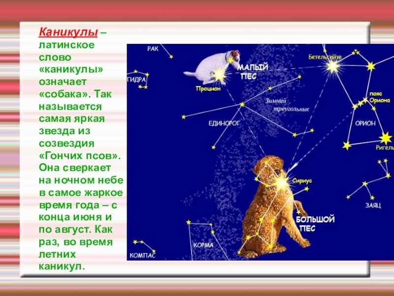 Доклад на тему звезды и созвездия сообщение (описание для детей)