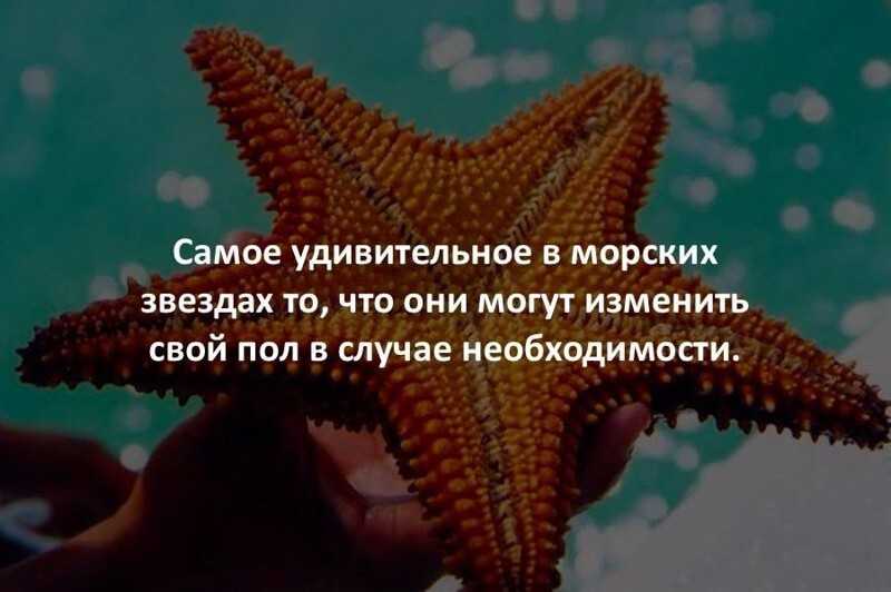 Страны европы и их столицы кратко. евросоюз - моя география