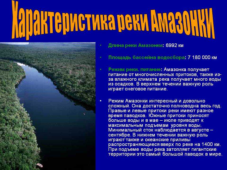 Описание реки амазонка по плану 7 класс география по плану