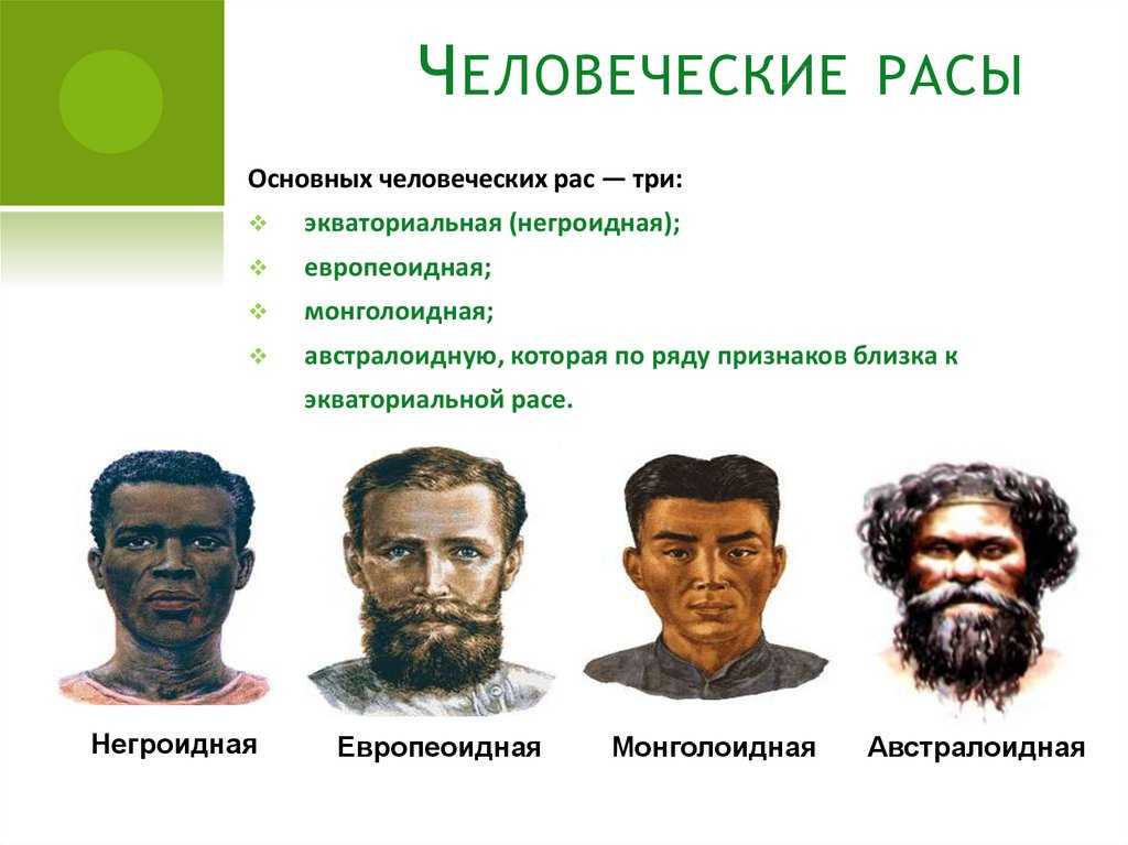 Презентация родство и единство происхождения человеческих рас