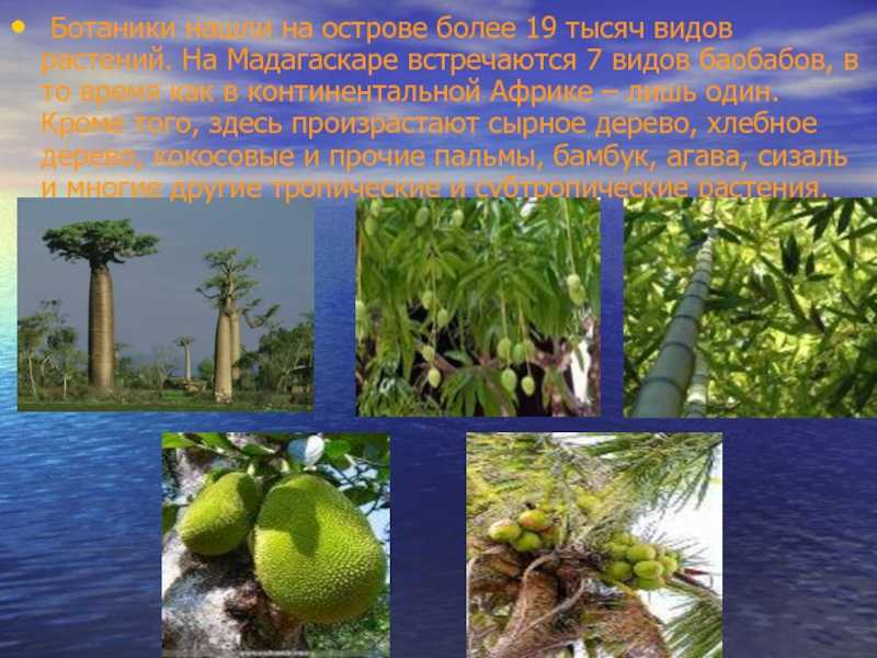 План характеристики страны мадагаскар