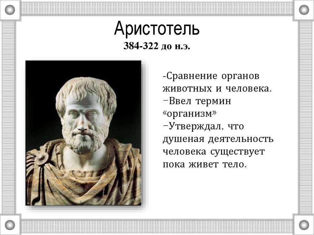 Презентация про аристотеля