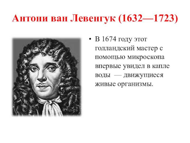 Антони ван левенгук презентация