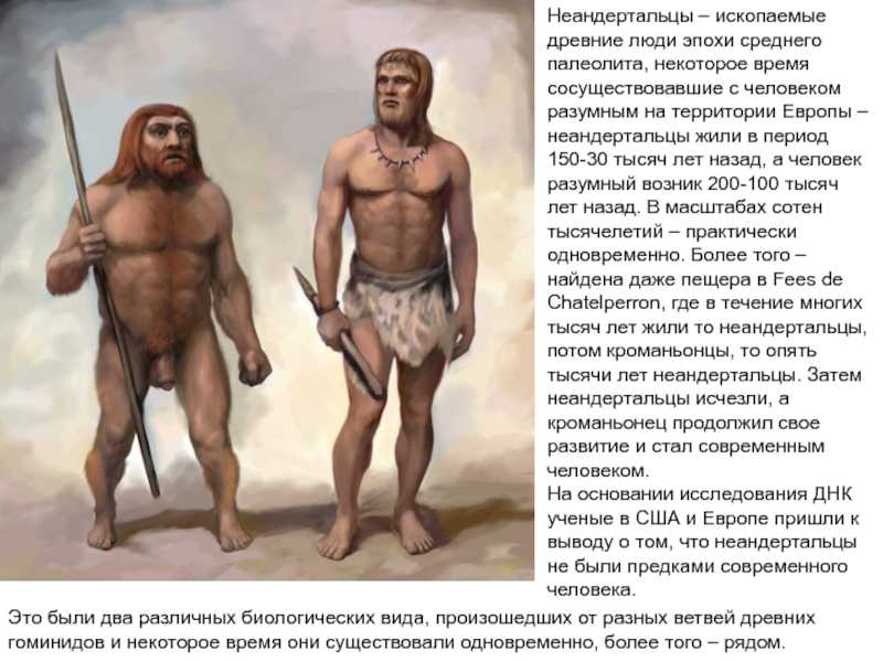 Образ жизни кроманьонцев: гипотезы, особенности, интересные факты :: syl.ru