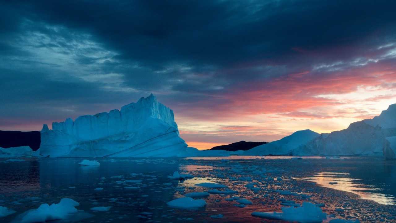 Животный мир холодных районов земли - подробная информация и фото — природа мира