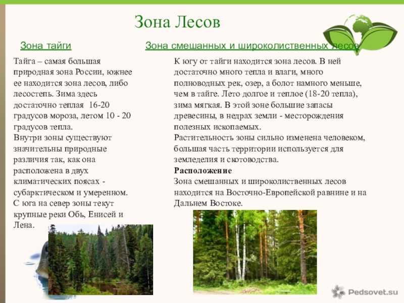 Природные зоны россии (4 класс, окружающий мир) | докладики