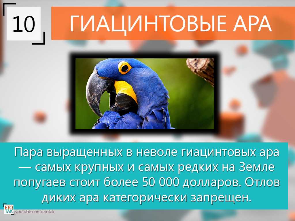 Достопримечательности тамбова