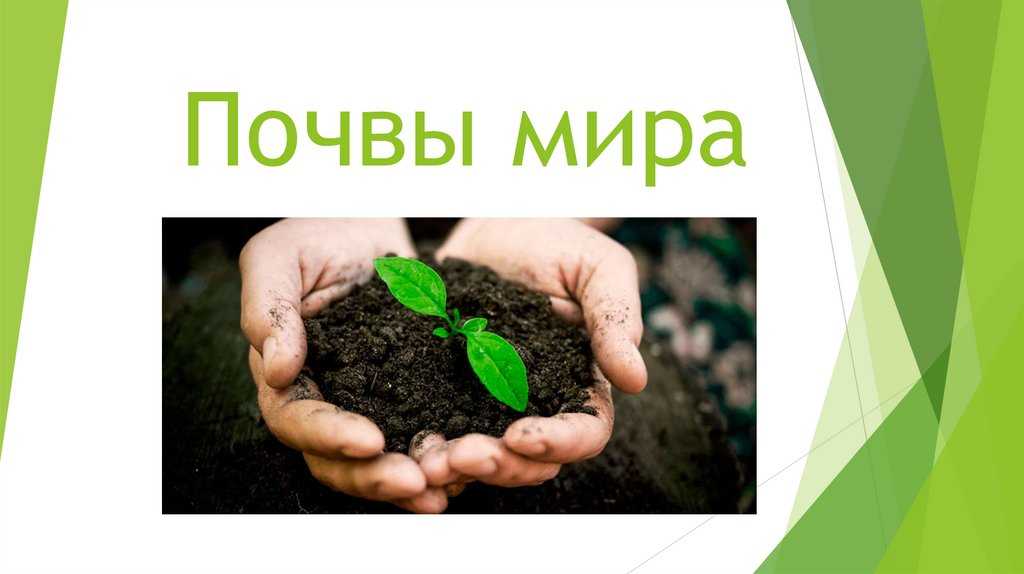 Реферат докучаев василий васильевич