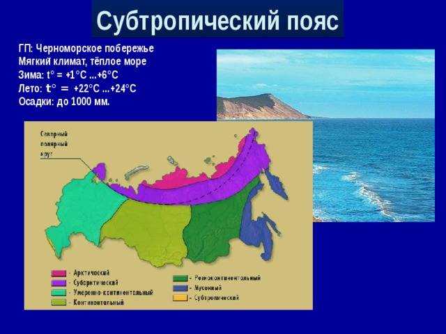 Арктика - сообщение доклад (4, 5, 7, 8 класс окружающий мир)