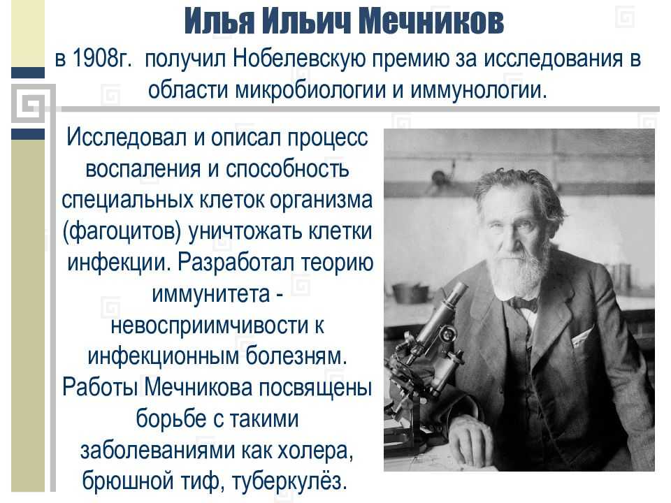 Илья ильич мечников, русский биолог, культурный деятель, мыслитель - история жизни и научные свершения