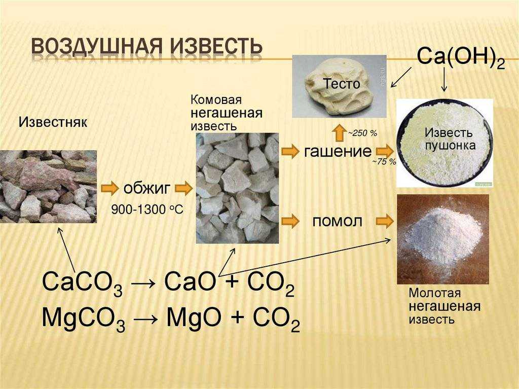 Виды известняка с картинками