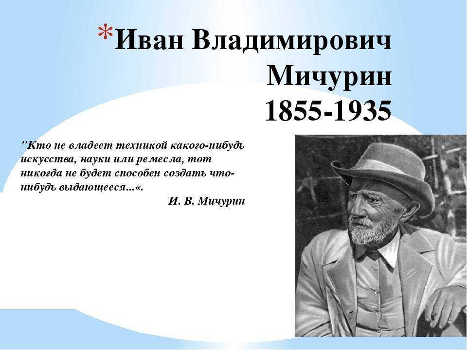 Theperson: иван мичурин, биография, история жизни, причины известности