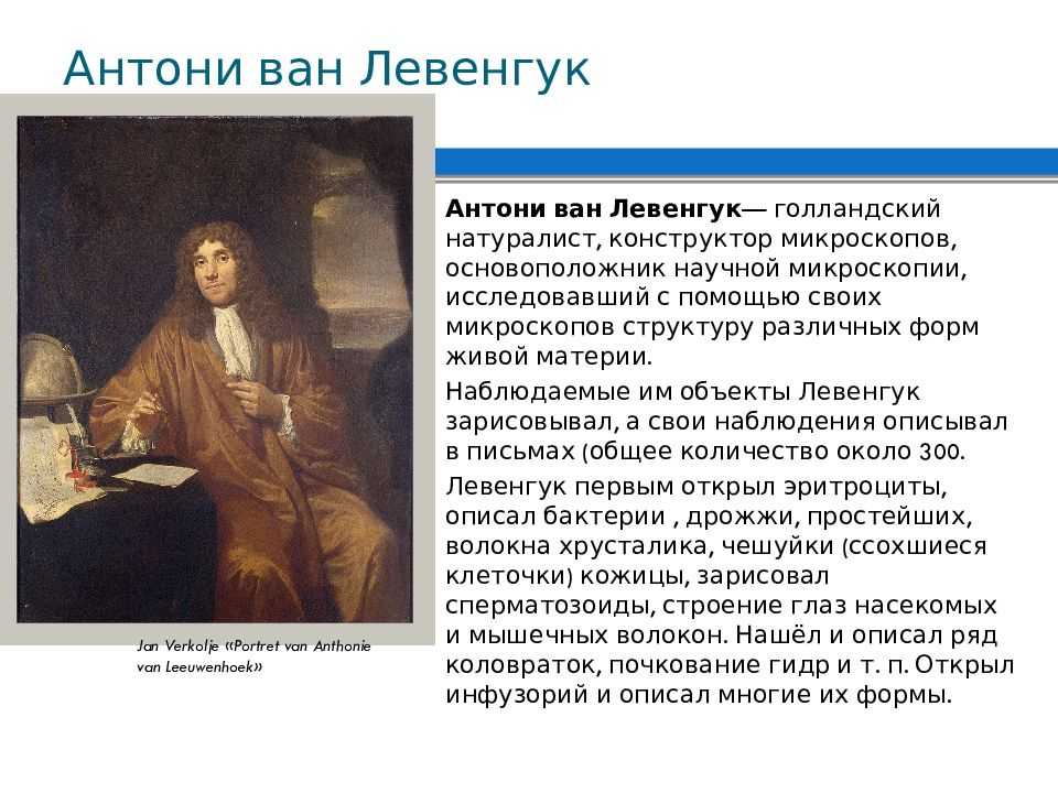 Антони ван. Антони Ван Левенгук 1696. Антони Ван Левенгук 1683. Антони Ван Левенгук открытия. Антоний Ван Левенгук открыл мир.