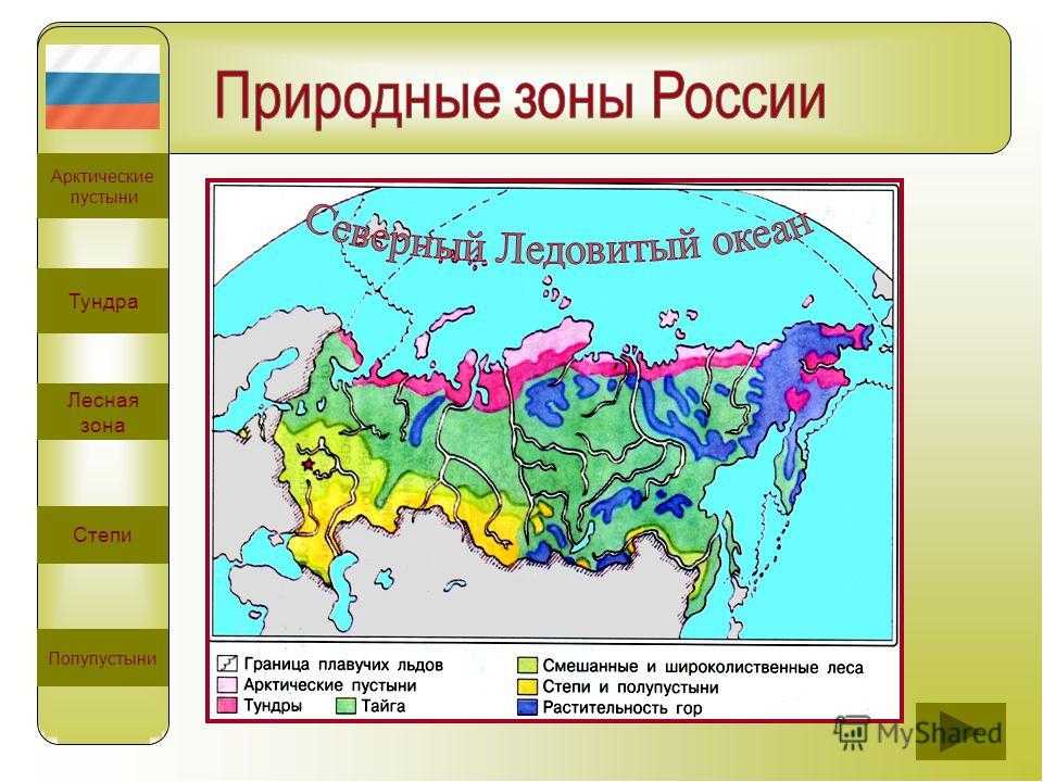 Природные зоны россии с севера на юг
