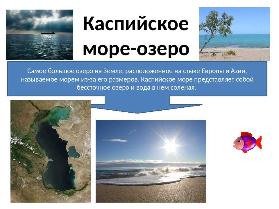Интересные факты об индийском океане