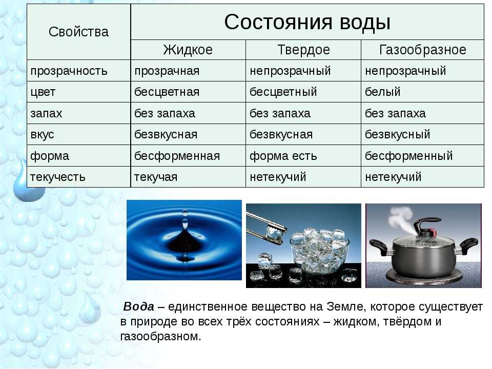 Роль воды в жизни человека – значение, важность кратко для сообщения (5 класс, биология)