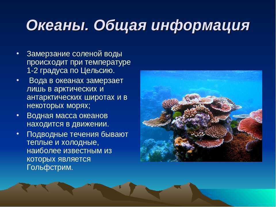 Океанов интересные факты. Природное морское образование