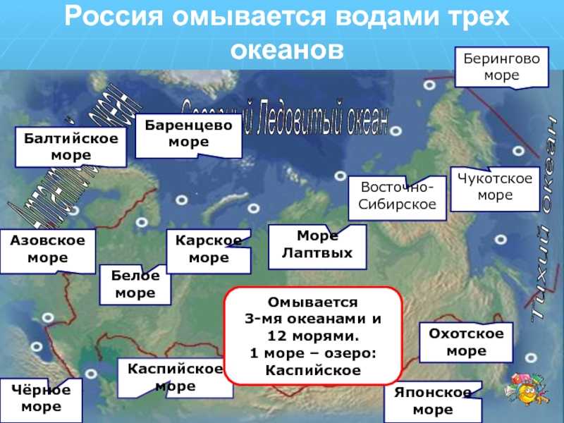 Горы и вулканы камчатки: где находятся крупнейшие горные хребты и сопки на карте россии | tvercult.ru